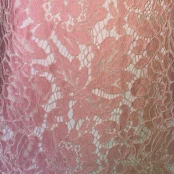 Julie Brown NYC Everest Dress Blush Lace Pink 2 - Picture 4 of 6